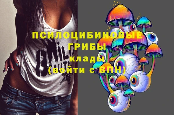 кокс Алзамай