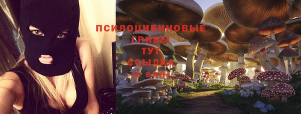 кокс Алзамай