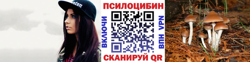 Псилоцибиновые грибы мухоморы  закладки  сайты даркнета наркотические препараты  Петровск 
